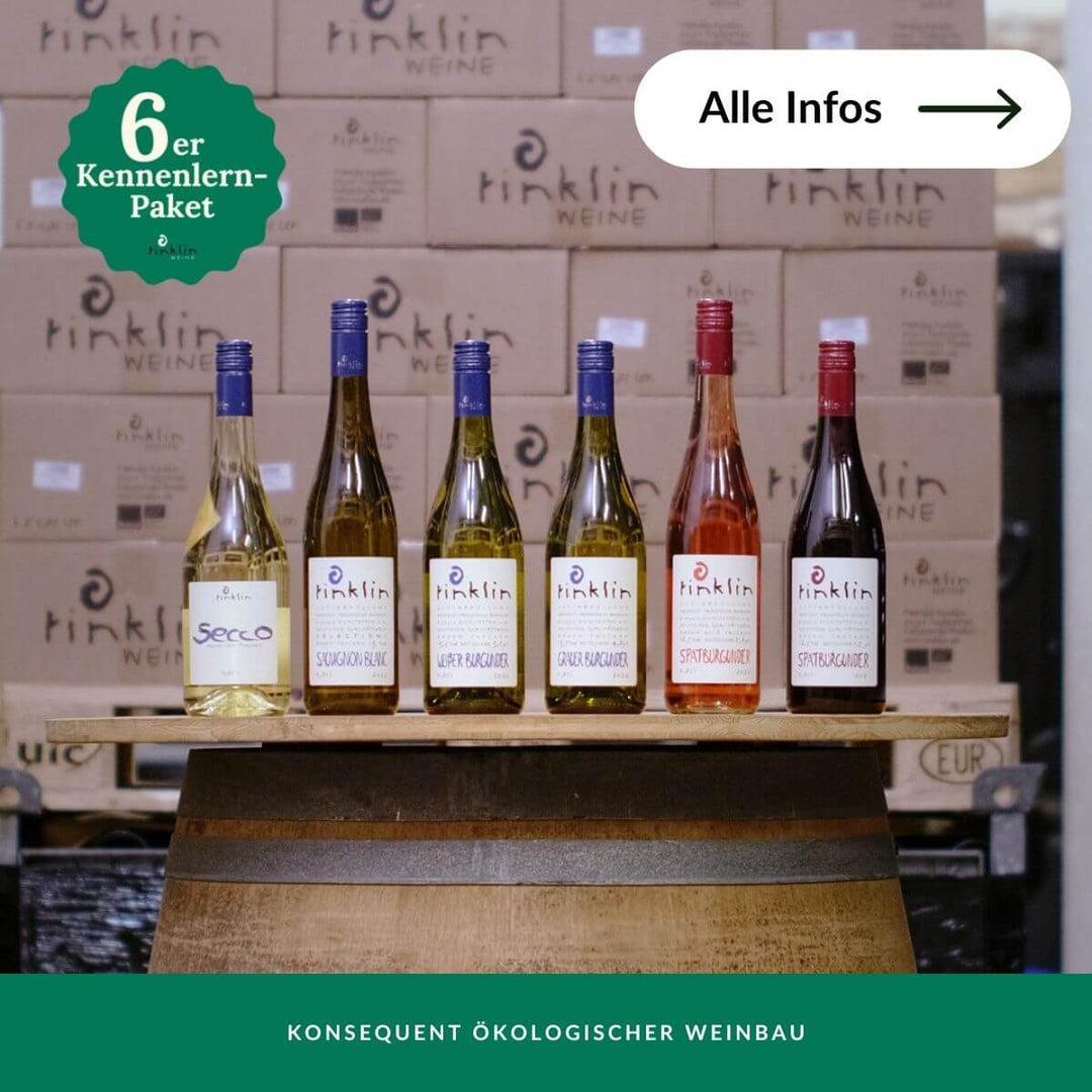 BIO-Wein Kennenlernpaket