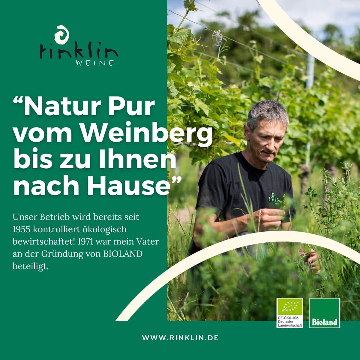 BIO-Wein Kennenlernpaket – Weingut Rinklin