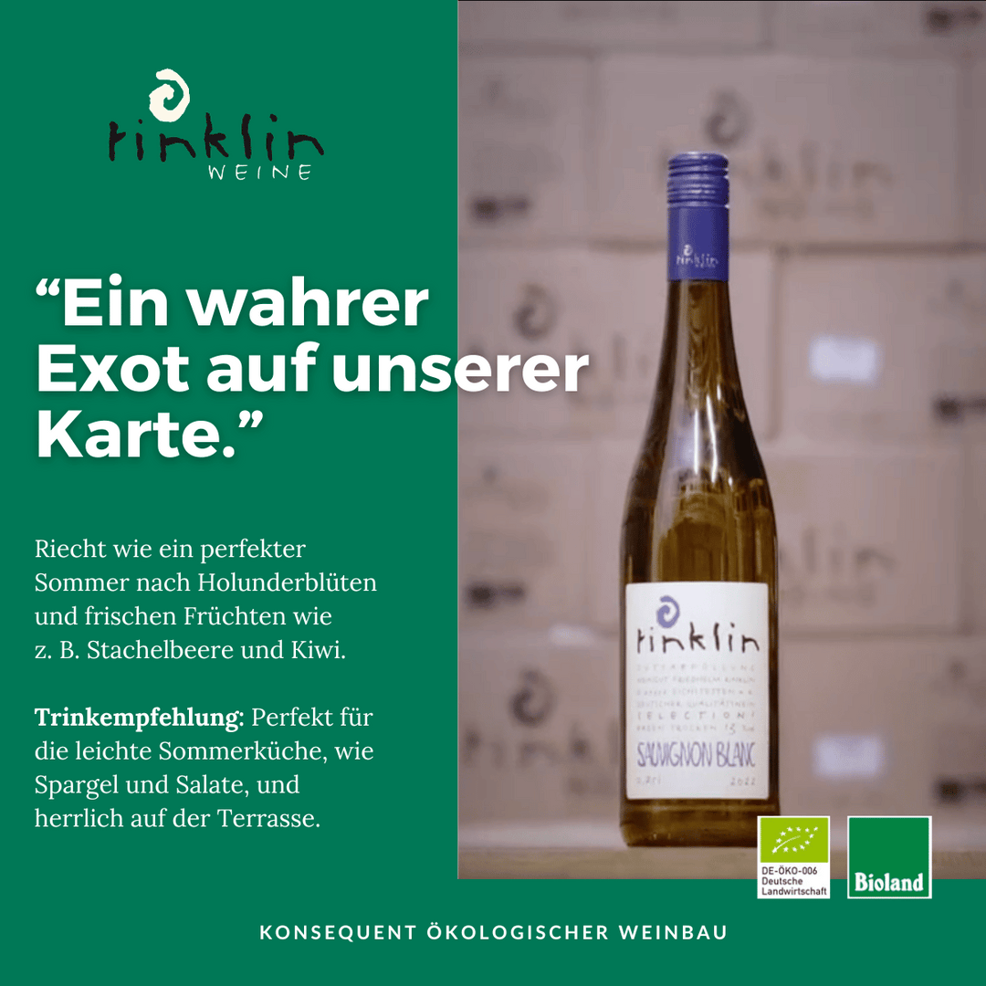 BIO-Wein Kennenlernpaket